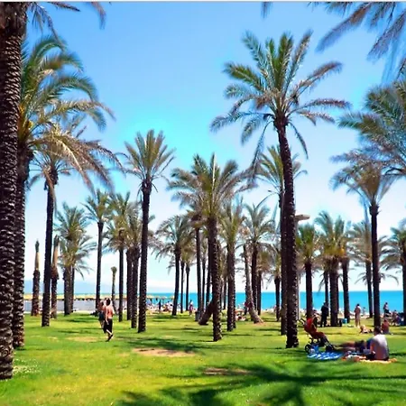 Apartamento Tropico Daire